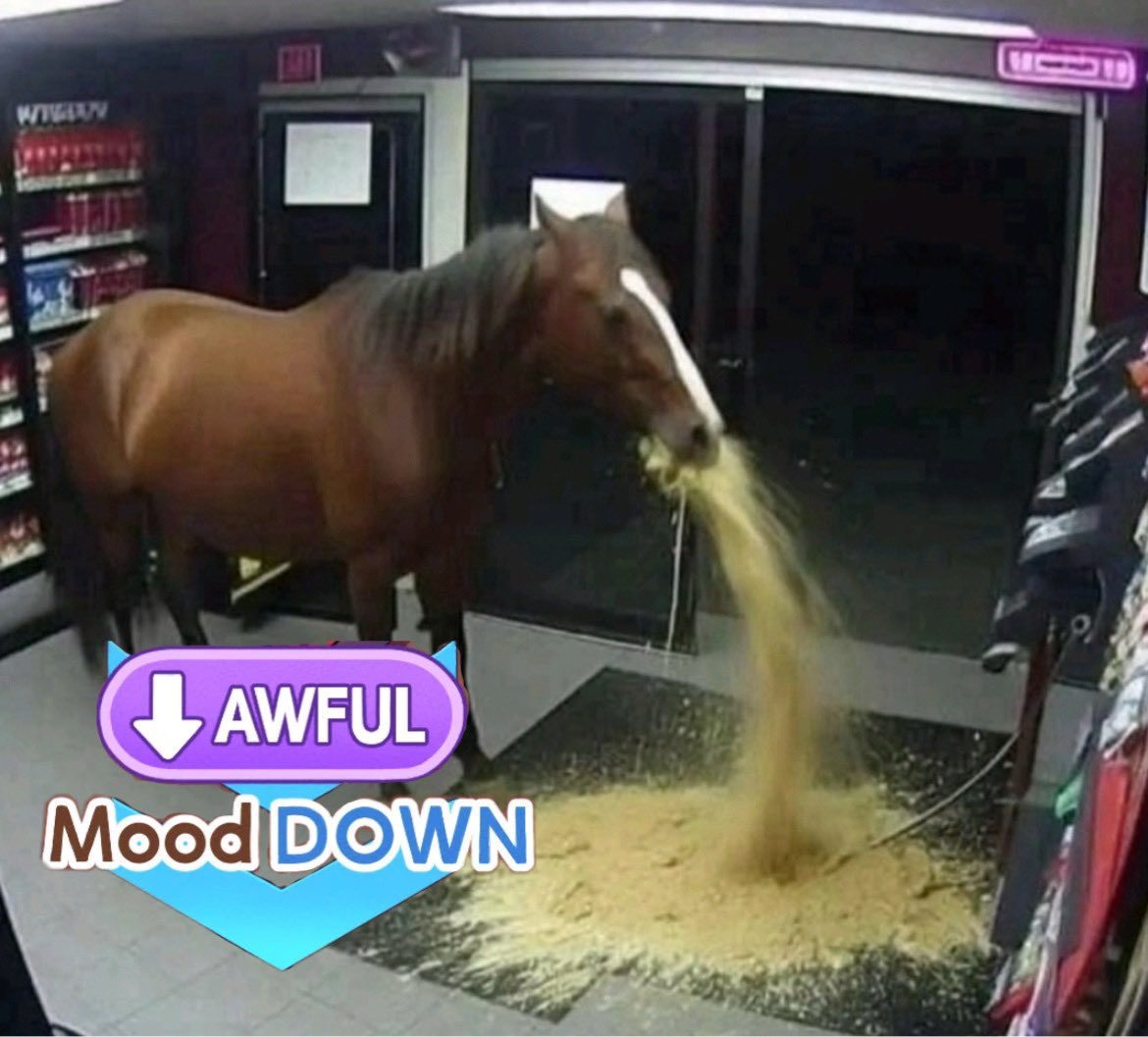 My kami- bottom… I I need a moment

This is… this is…