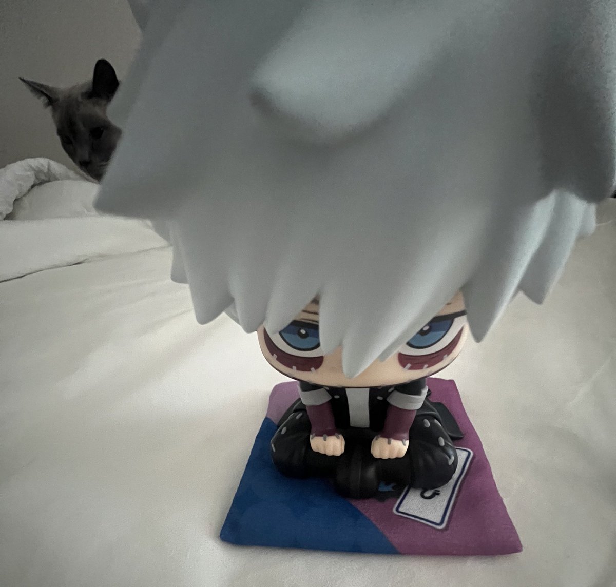 다비쨩 만져봐도 될까.......