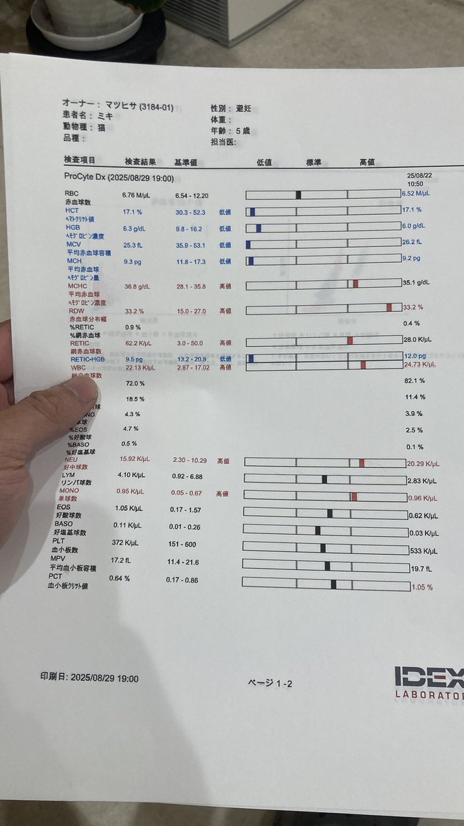 u_ronbantyo's tweet photo. 昨日、病院に行ってきました
口の中の炎症はかなり改善されてるの分かりますでしょうか？
貧血も腎臓のエリスロポエチンをするようになってから貧血もマシになりつつあります
赤血球を作る機能に効果が現れているとのことです https://t.co/RuCUGXDw1W