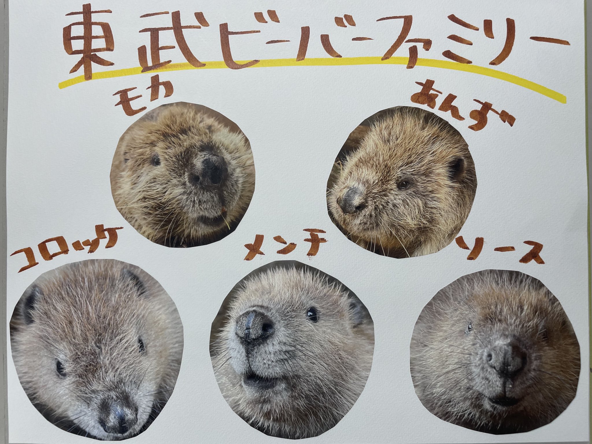 きてぃ　 51yH-cCPdvL._UF350,350_QL80_.jpg
