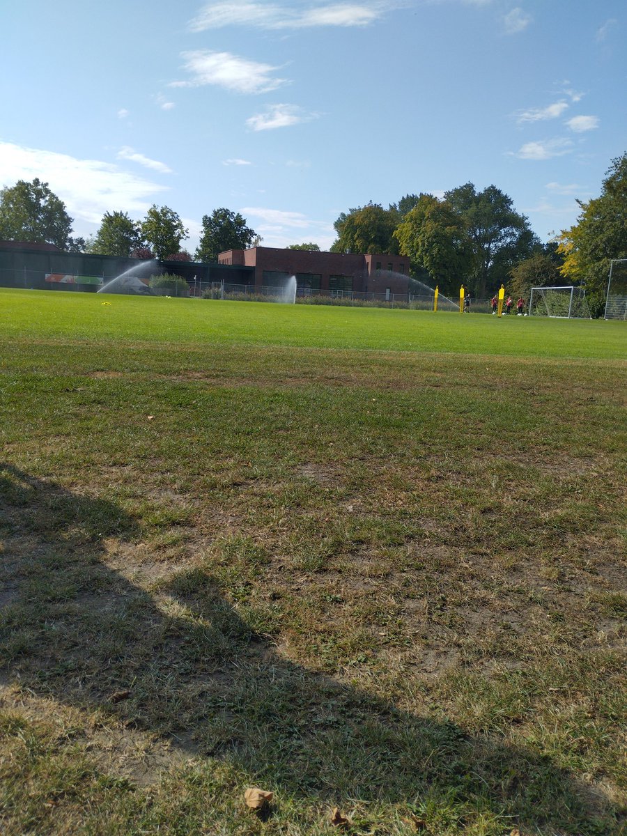 Roland H Derkx tweet media