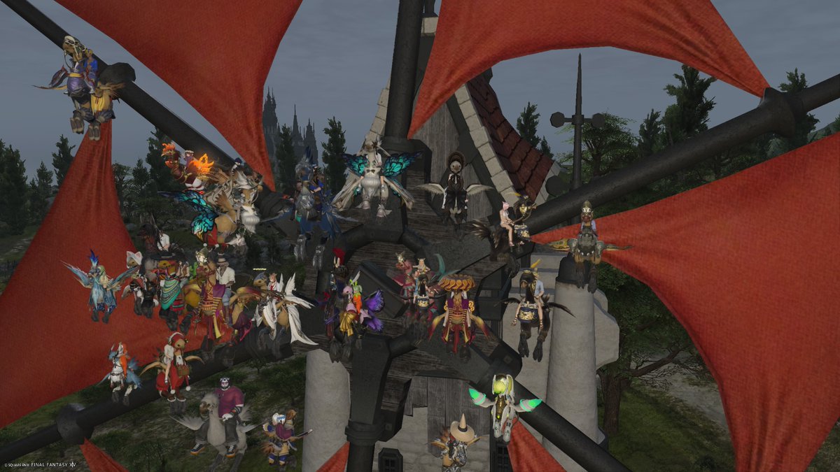 8/30　マメガエ会　昼の部　その１
＃マメガエ会