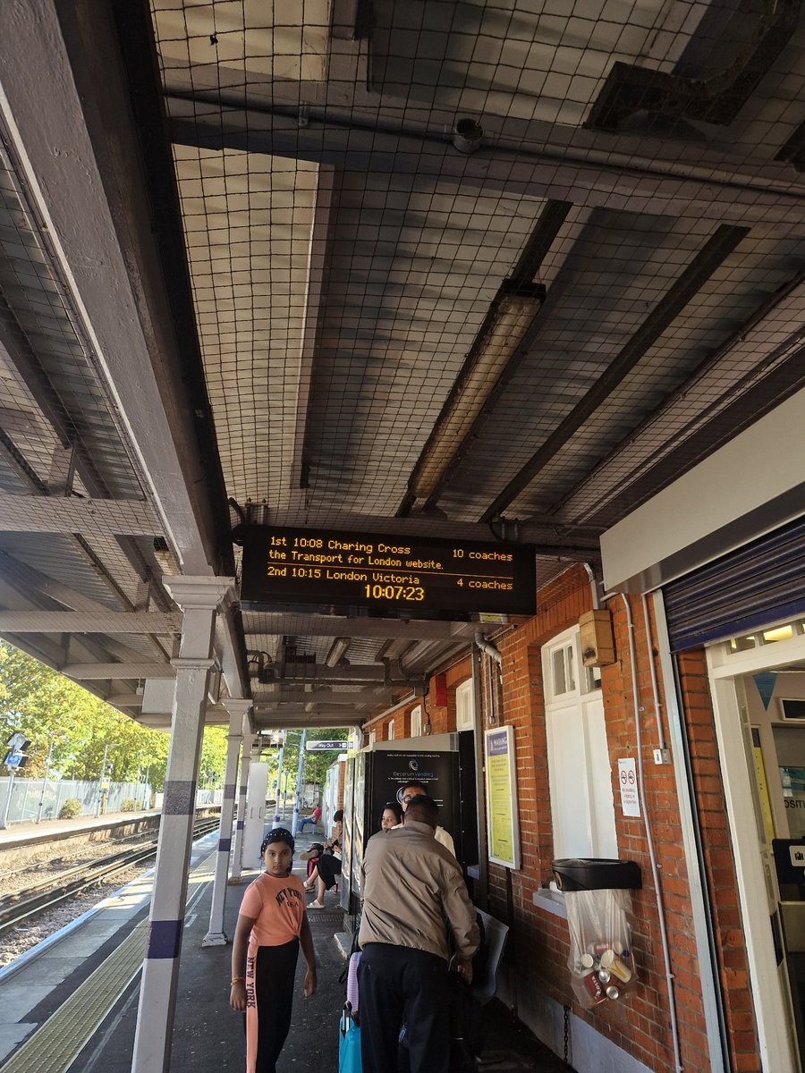 Treelover tweet media