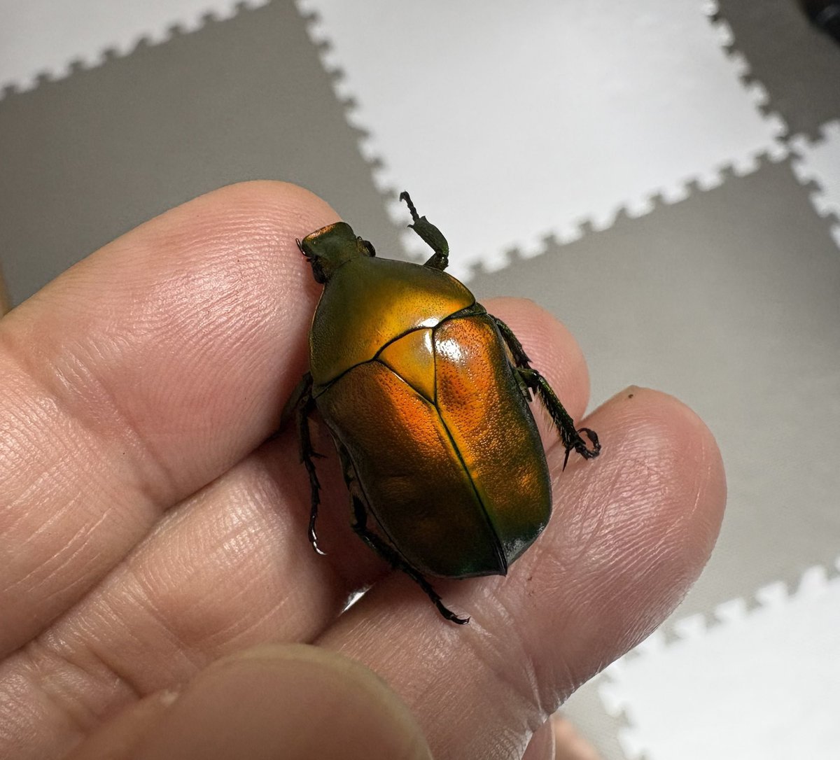 わわwa3 (@jb_wa3) / X