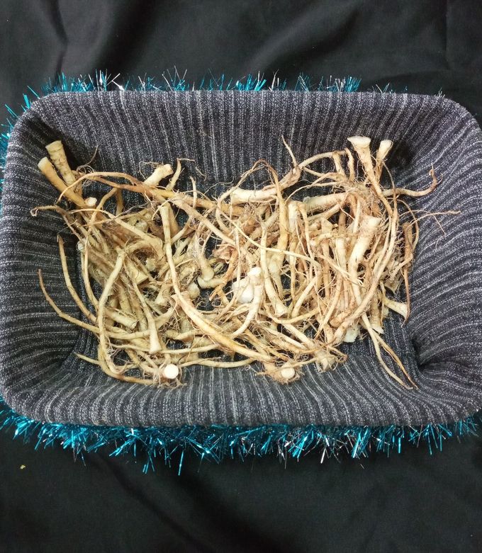 یک جوری میگه انگار صد ساله حزبن! 
ریشه مورد نظر: