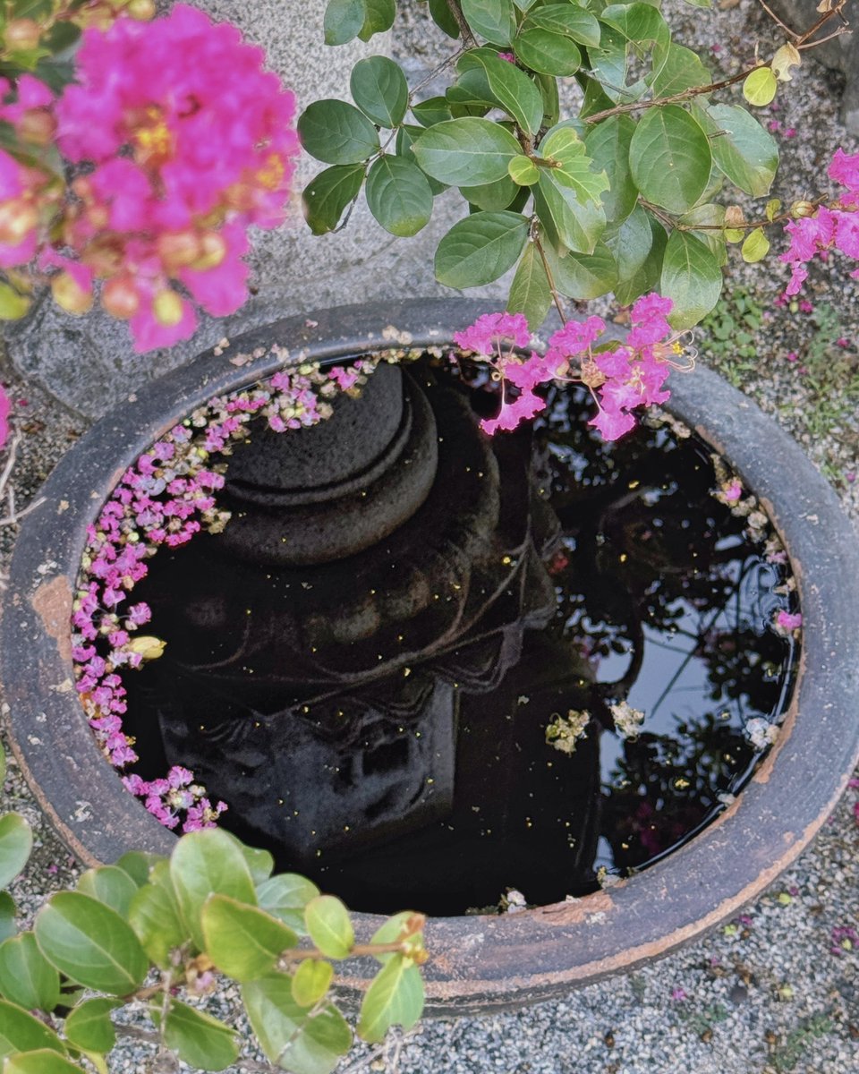 Здравствуйте

Ловите красивую открыточку 

До свидания