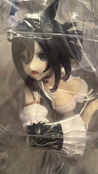 エイシンフラッシュのフィギュアが届いた。例によってまだ開封してないんですが、しなくても分かるこの叡智。 