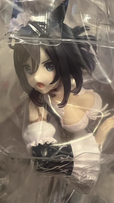 エイシンフラッシュのフィギュアが届いた。例によってまだ開封してないんですが、しなくても分かるこの叡智。