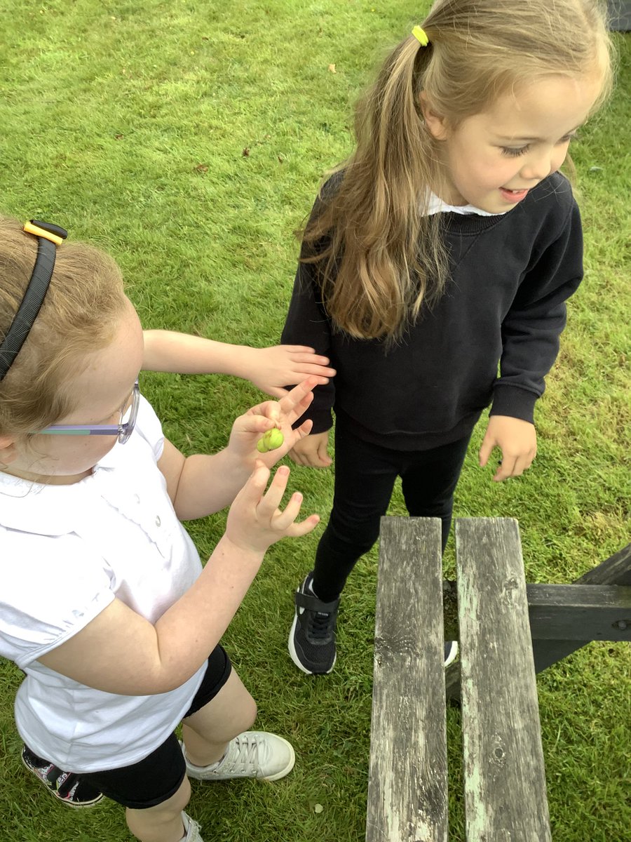 GlenmanorPS's tweet image. Room 3 were tuning into their senses this week during outdoor learning. They used sight, sound, touch and smell to help them  explore and investigate some little details of nature #rspbwildchallenge