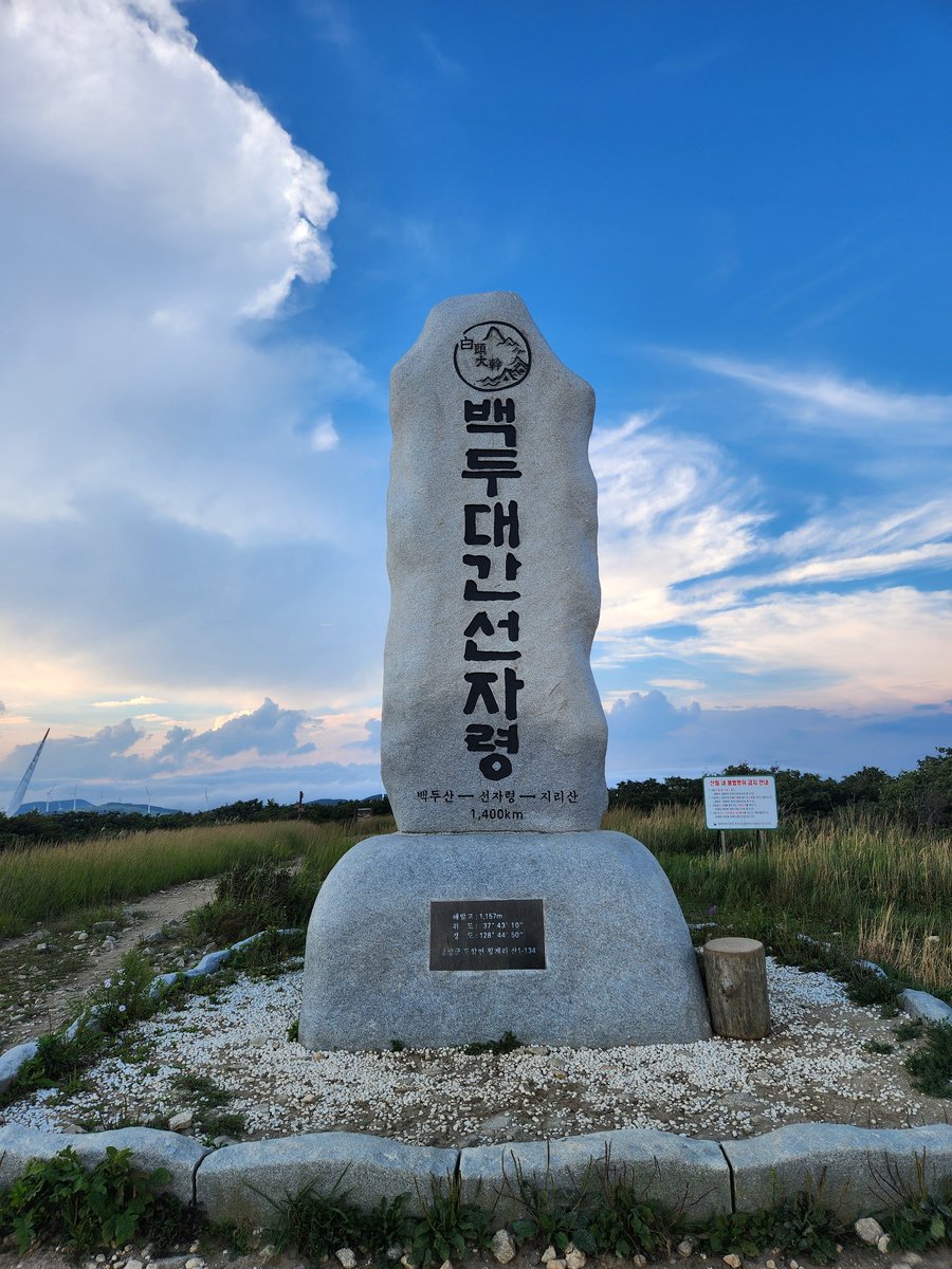 타닉커플 tweet media