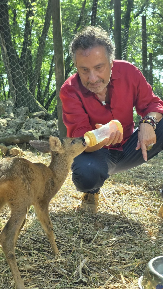 OfficialTozzi's tweet photo. Stasera alle 20.30 #sapiensfiles, per 10 puntate/anno.
Ogni settimana potete scegliere quale sapiens essere. Sapiens o sarchiaponi? Questo il dilemma.
Buona visione! https://t.co/xglmheLt6w