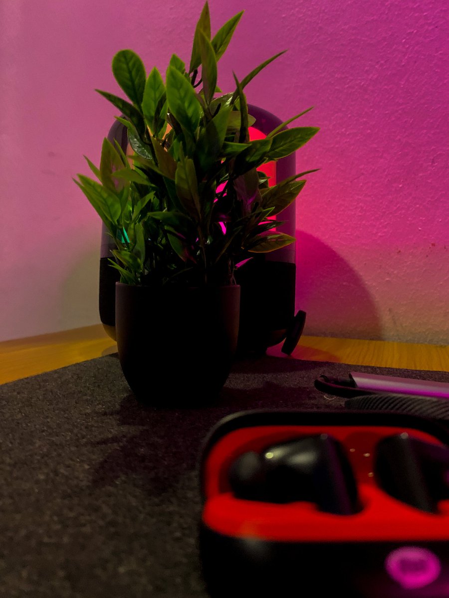 urbandev__'s tweet photo. A day in the life ✨️

#remotesoftwareengineer https://t.co/909mi3acXh