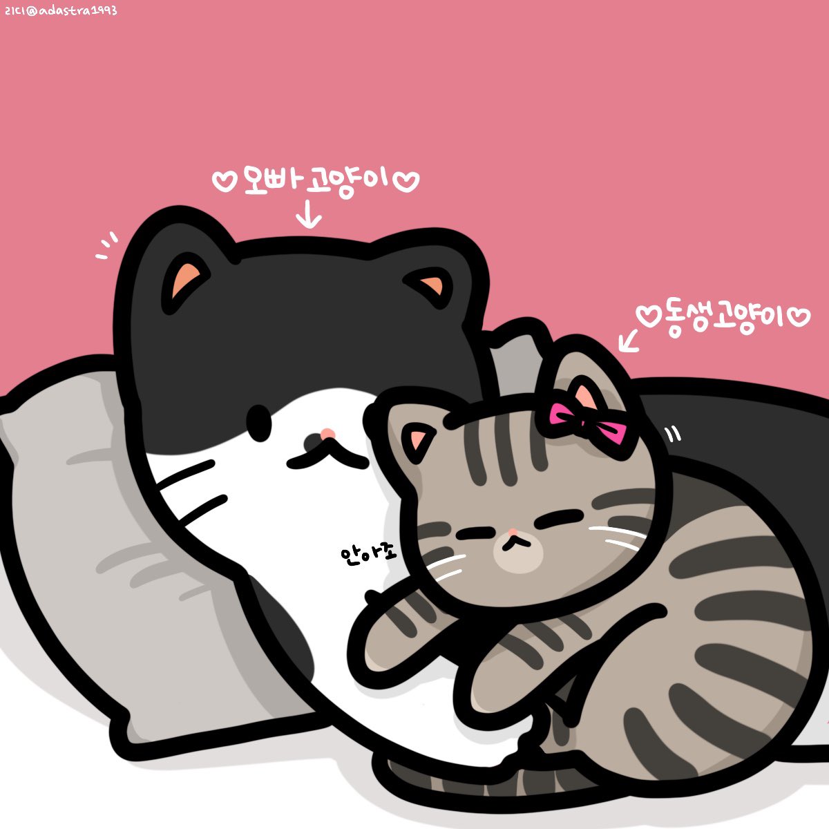 🩷남매고양이🩷

#망치 #빠루