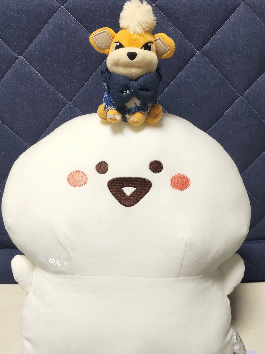 ちびがどうしても欲しがってた お文具さんクッションまさかの再販？してた！ 前は売り切れててなかったの😭
あった！あった！って跳び跳ねて喜んでてよかったぁ♡
こたろとコラボっ🥰
#ポケモンfit
#お文具といっしょ