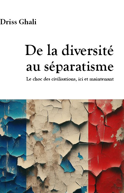 "En réalité, la Diversité n’a rien de diversifié. Elle est avant tout islamisation et africanisation dans le sens où l’immigration venant du Maghreb et de l’Afrique a écrasé les flux issus de l’Europe, des Amérique et de l’Asie (Chine, Inde, Sri Lanka…). Cette diversité «
