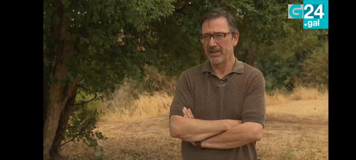 Colaboración ca TVG ó redor do impacto da IA na saúde emocional das personas adolescentes.

g24.gal/-/os-expertos-…