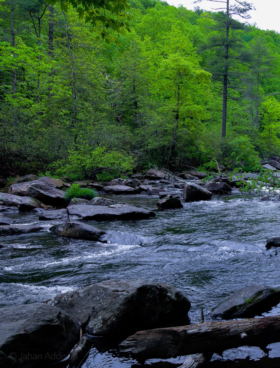 saturdays spent by rivers,
    under trees, or in quiet 
      fields heal the soul 
     good morning 💚
