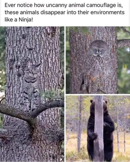 RobertsChessie's tweet image. It's S4S day/time! That means it's time to LAUGH COZ IT'S GOOD FOR YOU!!! So let the shenanigans begin
#CSRobertsAuthor #EvolutionOfSelf #AwarenessPerpetrator #S4S #HumorHeals