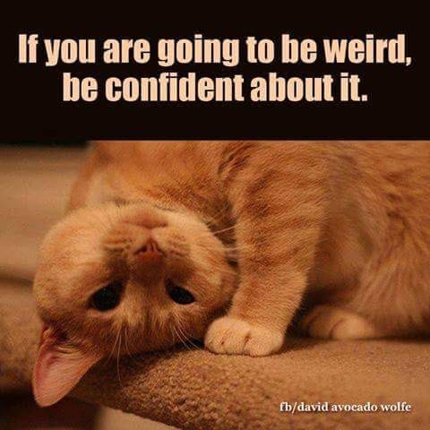 RobertsChessie's tweet image. It's S4S day/time! That means it's time to LAUGH COZ IT'S GOOD FOR YOU!!! So let the shenanigans begin
#CSRobertsAuthor #EvolutionOfSelf #AwarenessPerpetrator #S4S #HumorHeals