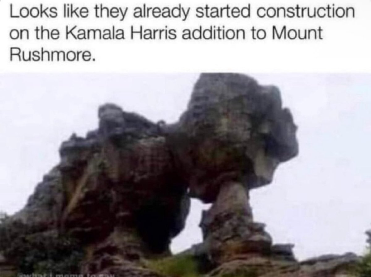 Liberal Tear Creator™ tweet media