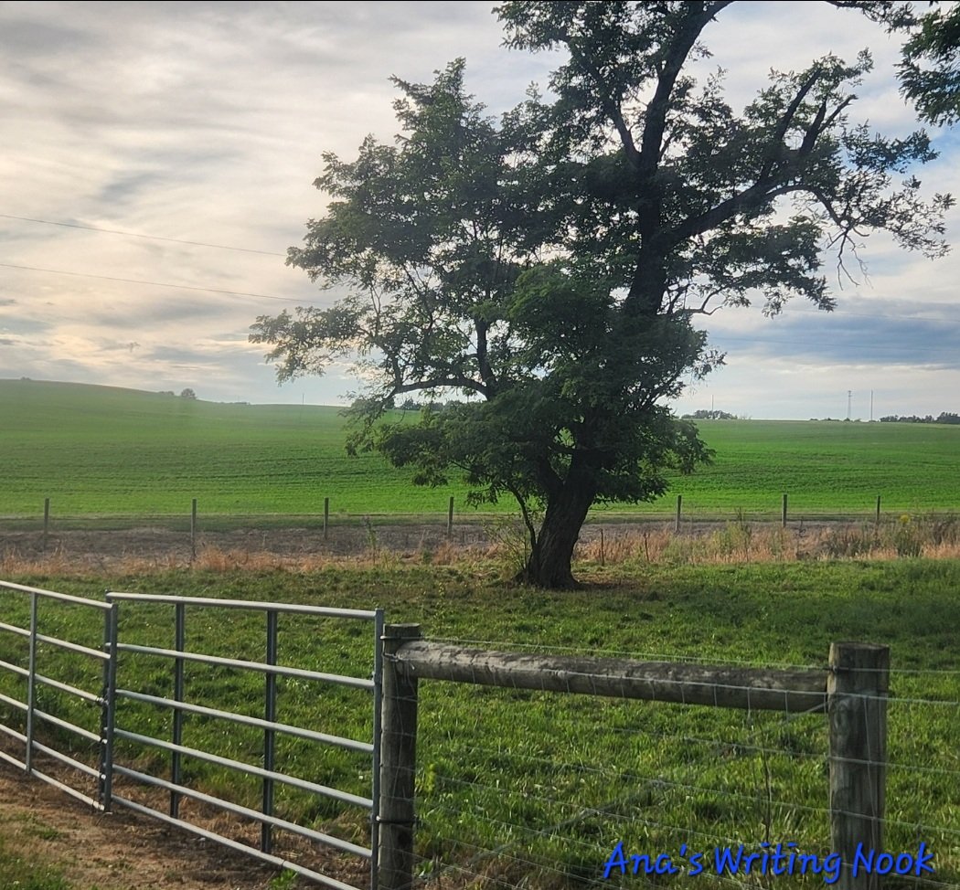 It's a lovely but chilly morning, my beautiful friends!  I do believe autumn is here.  

I took some fabulous pics when I'm on my bike riding adventures and want to share them with you.