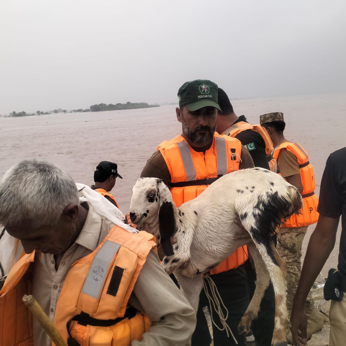 Azma Zahid Bokhari tweet media