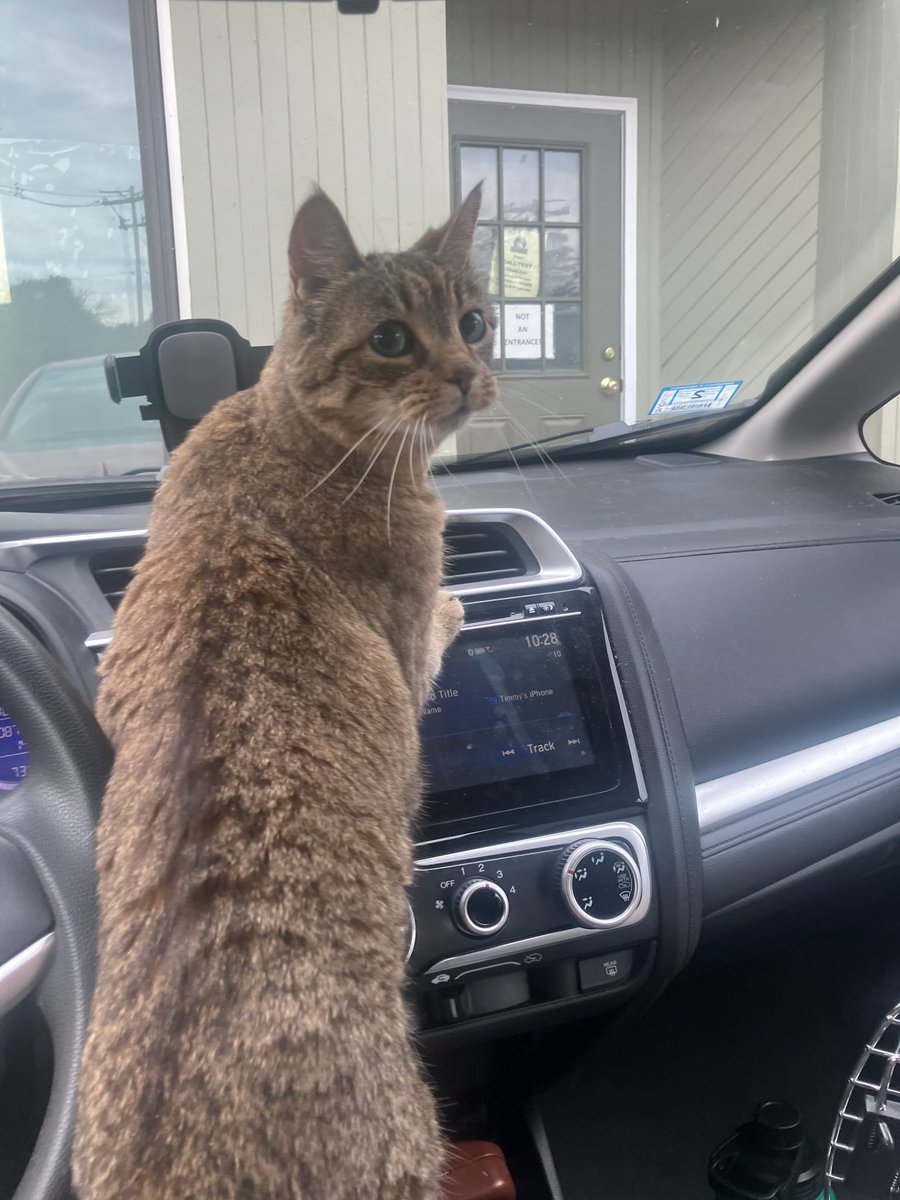 turn left we r going to the Slop Store