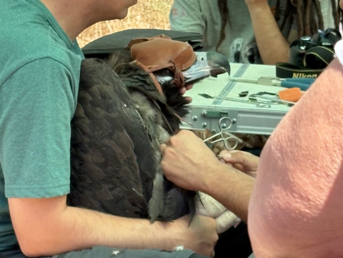 Este de quién es ex????