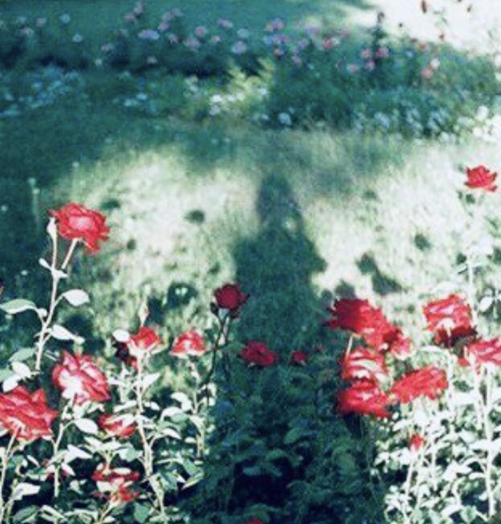 boc_nicole79's tweet image. さよなら言えない自分に言わなくちゃ

大丈夫 見つけたものは本物だよ
出会った事は本当だよ

#arrows
#BUMPOFCHICKEN