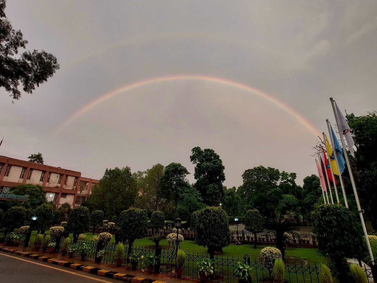 Rainbow&amp;Campus