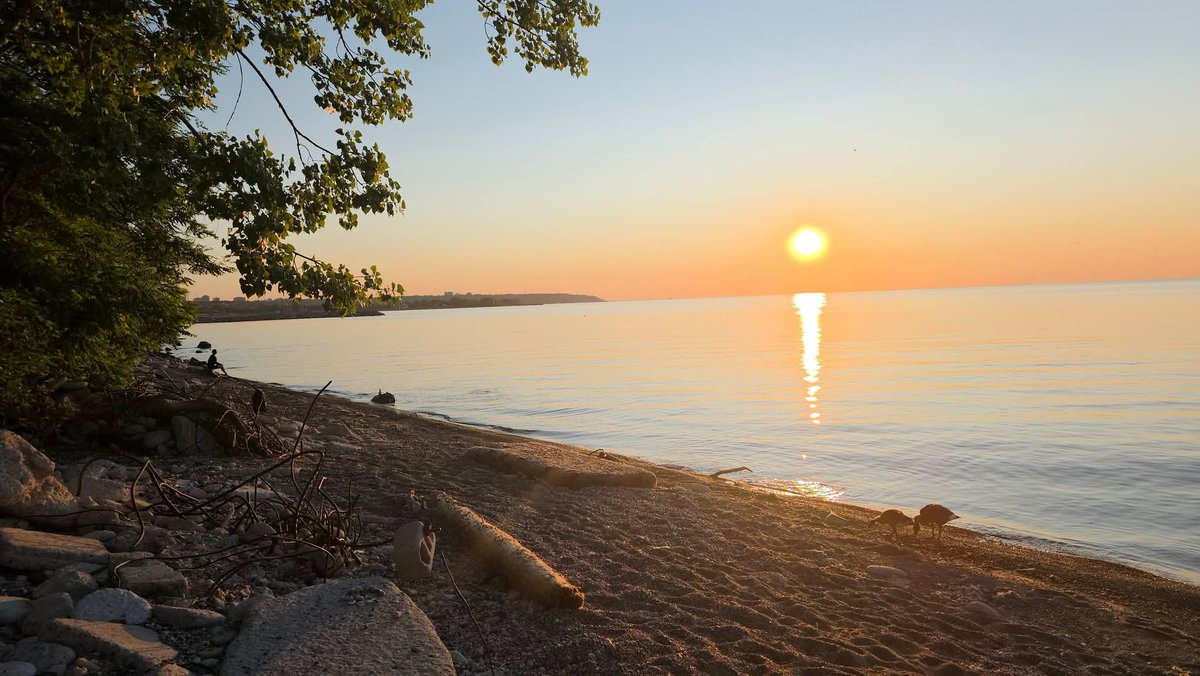 Paulonwubuke's tweet image. May your Saturday be filled with sunshine, smiles, and endless joy
#gratefulheart #grateful #FaithInAction #peaceandlove #joy #JoyfulMoments #sunrise #purposedriven #paulmacpauldigital
