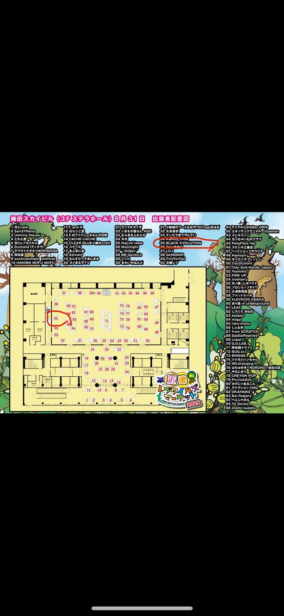 Key_Leopard's tweet image. 仕事から帰って色々あってやっとパッキング諸々の準備終わった😂
明日は近レプでシンヤ君のブース35番BLACK EVOLUTIONさん所でレッドデビル系(pure、cross)、レーダー、タンジェリンのレオパを一緒に置かせてもらえることになったのでシンヤ君ブース見に行くついでに見て行ってください😊