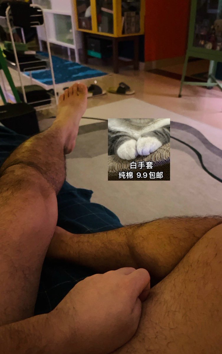 如果变成猫，我应该是一只白手套