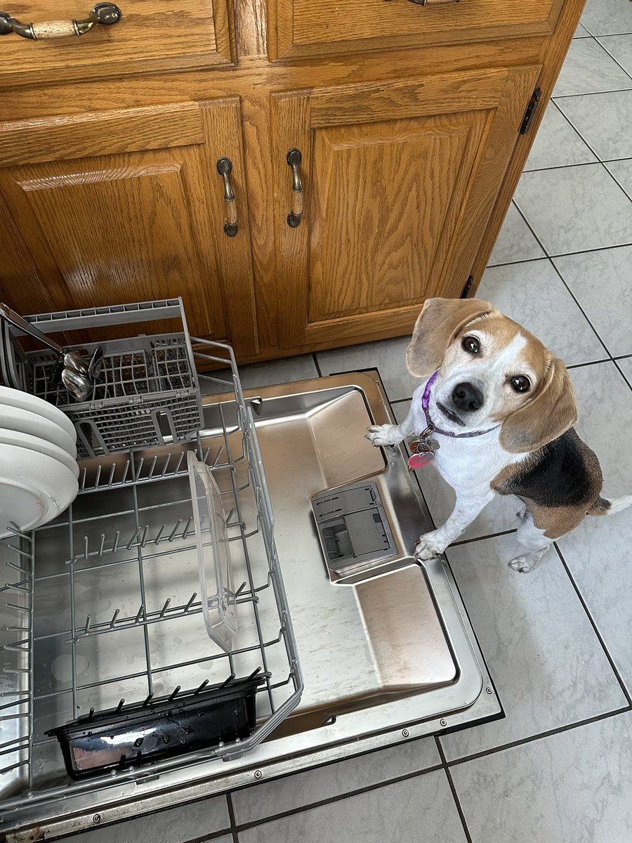 staceystring's tweet image. But momma, they are not clean yet