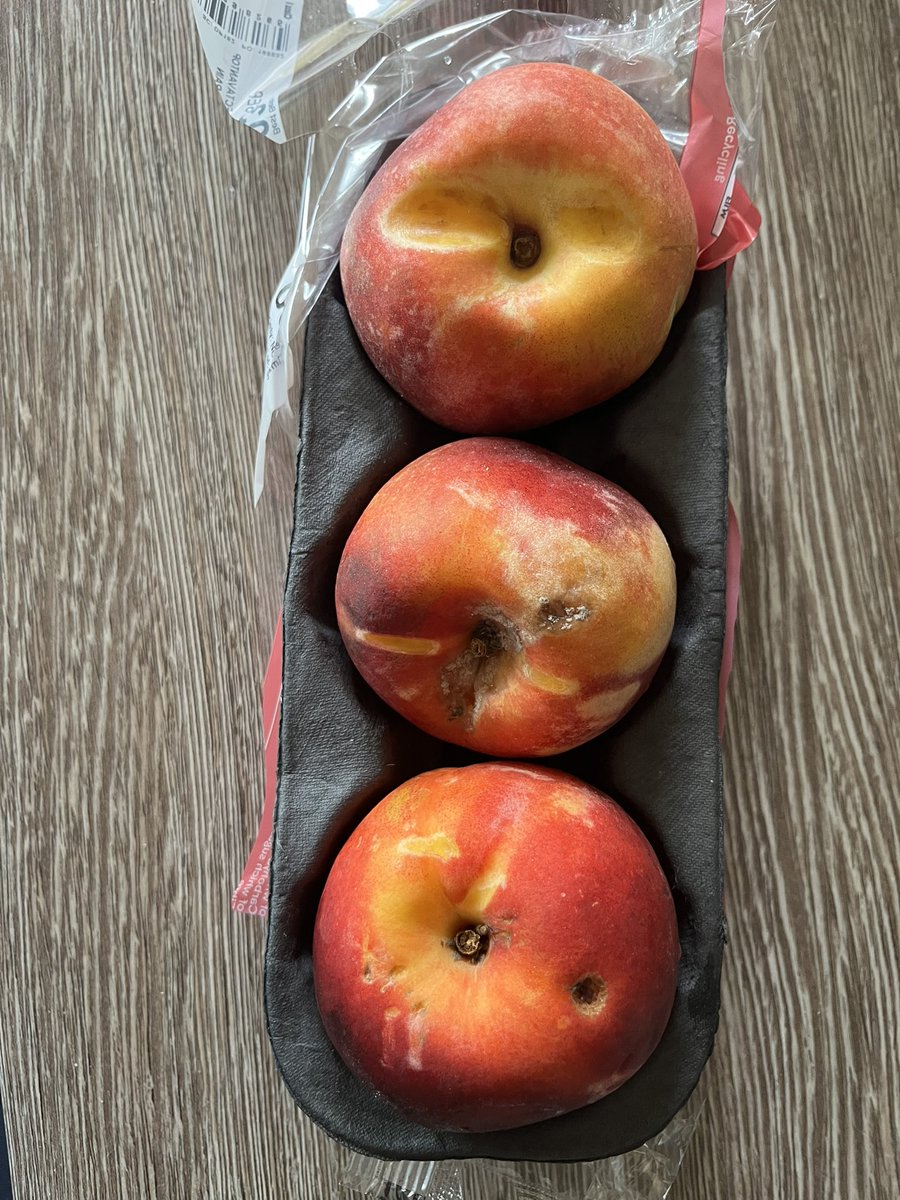 Gemma Ellis tweet media