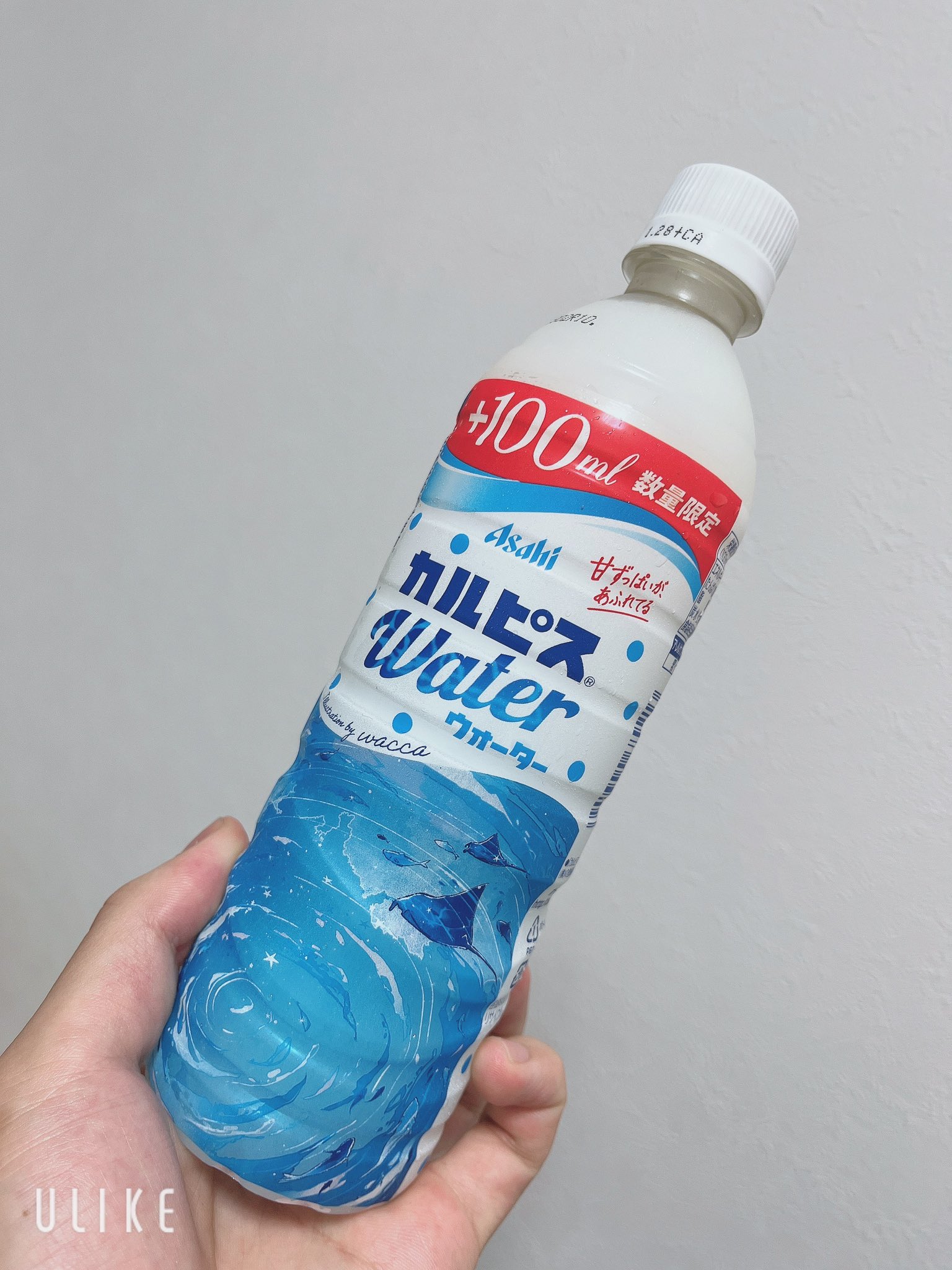 2024年5月から放置したカルピス 2024年5月から放置したカルピス