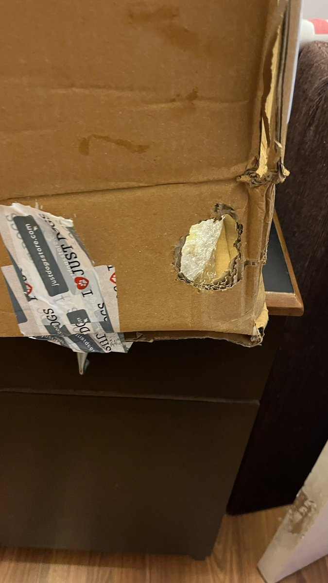 dancerali's tweet image. Ths is th delivery product 1 receives 4m @justdogs @justdogsindia #JustDogs n no response 2 mails 2 refund/ exchange this rat eaten box n package!