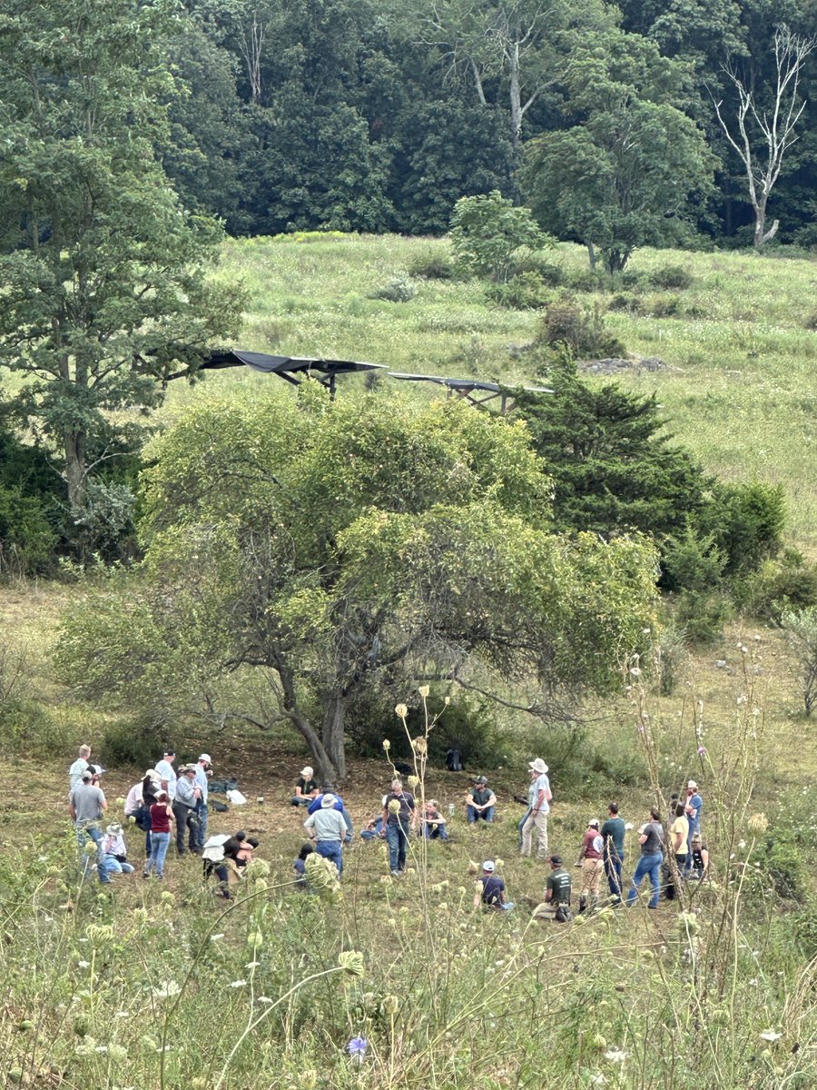 Regrarians® tweet media