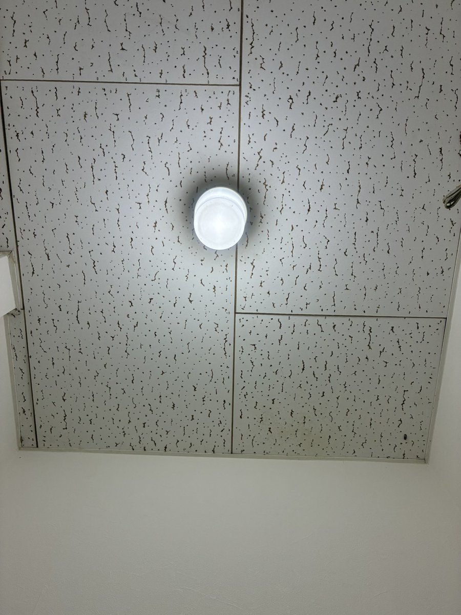 eigagadaisukio's tweet photo. 早炊きした米食ったら腹壊した
トイレ出れなくて死ぬ https://t.co/LYvOpLhh6p