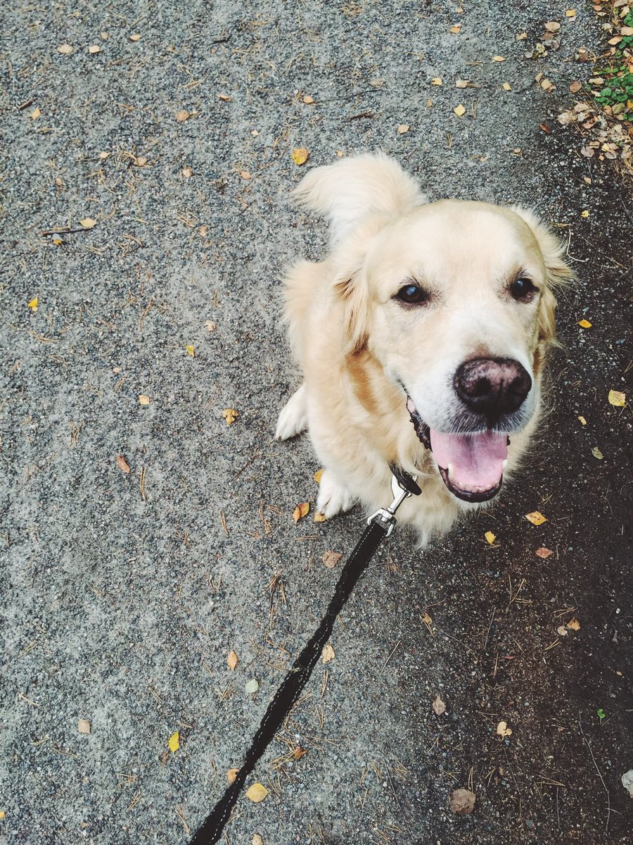 Три года как тебя с нами больше нет ❤️‍🩹❤️‍🩹❤️‍🩹