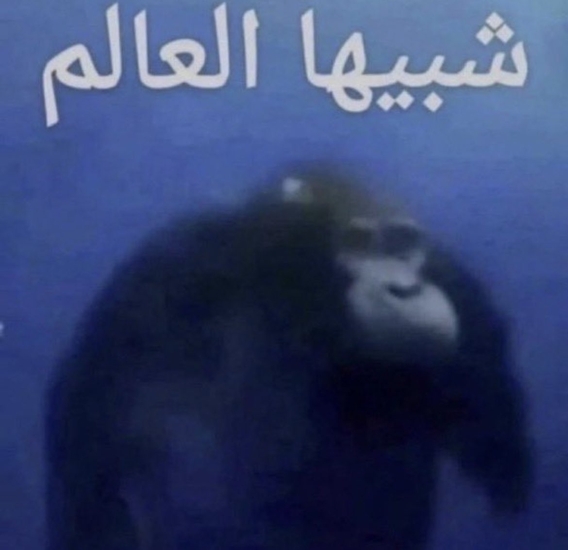 Tkalieli🇸🇦 (@mftolen) on Twitter photo 