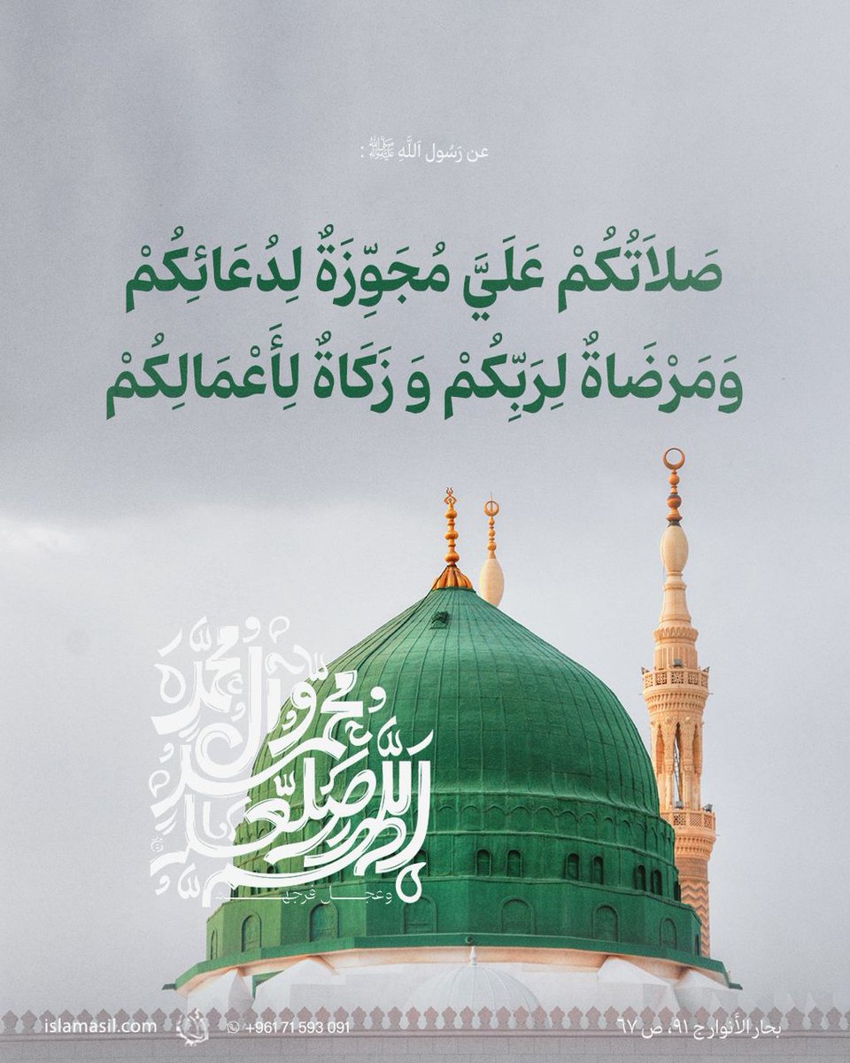 ⚘✿ زهرة التوليب ✿⚘ tweet media
