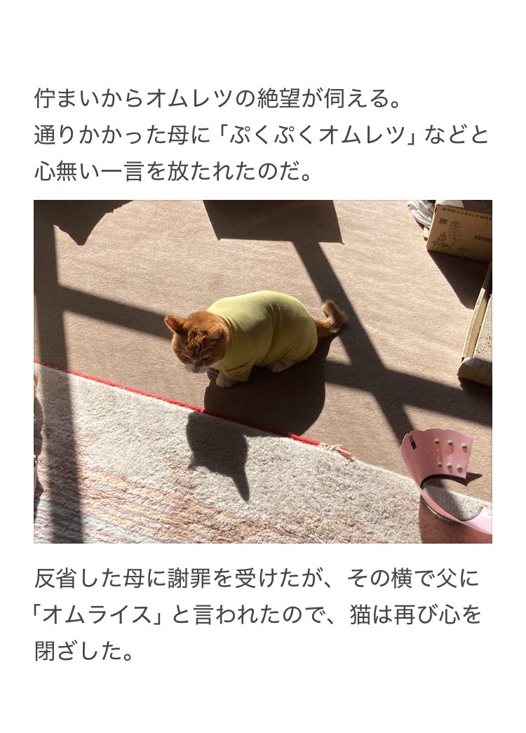 テレフォン猫⭐︎ Amazon.co.jp: 【2025新型】動物撃退器 猫よけ 猫避け 超音波