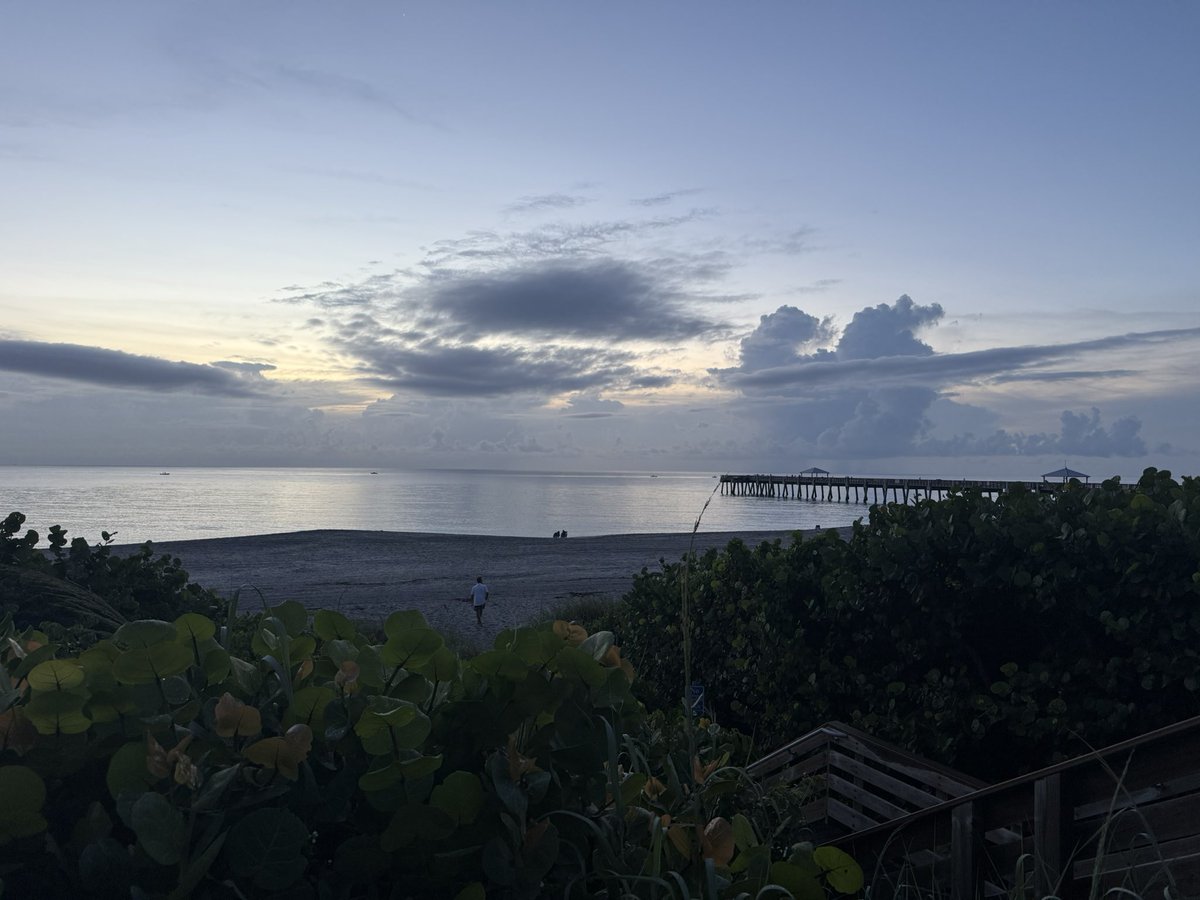 Matt Disney (@disney_lab) on Twitter photo 