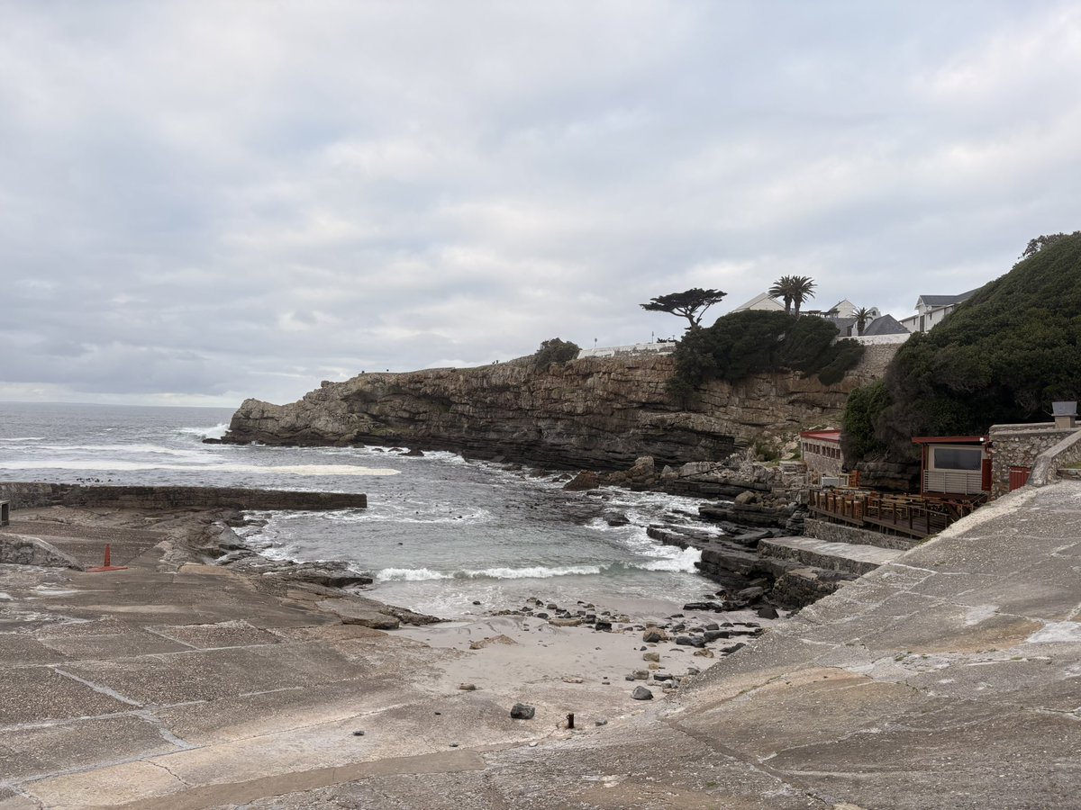 friedalloyd's tweet image. Hermanus Old Harbour swim. #overberg