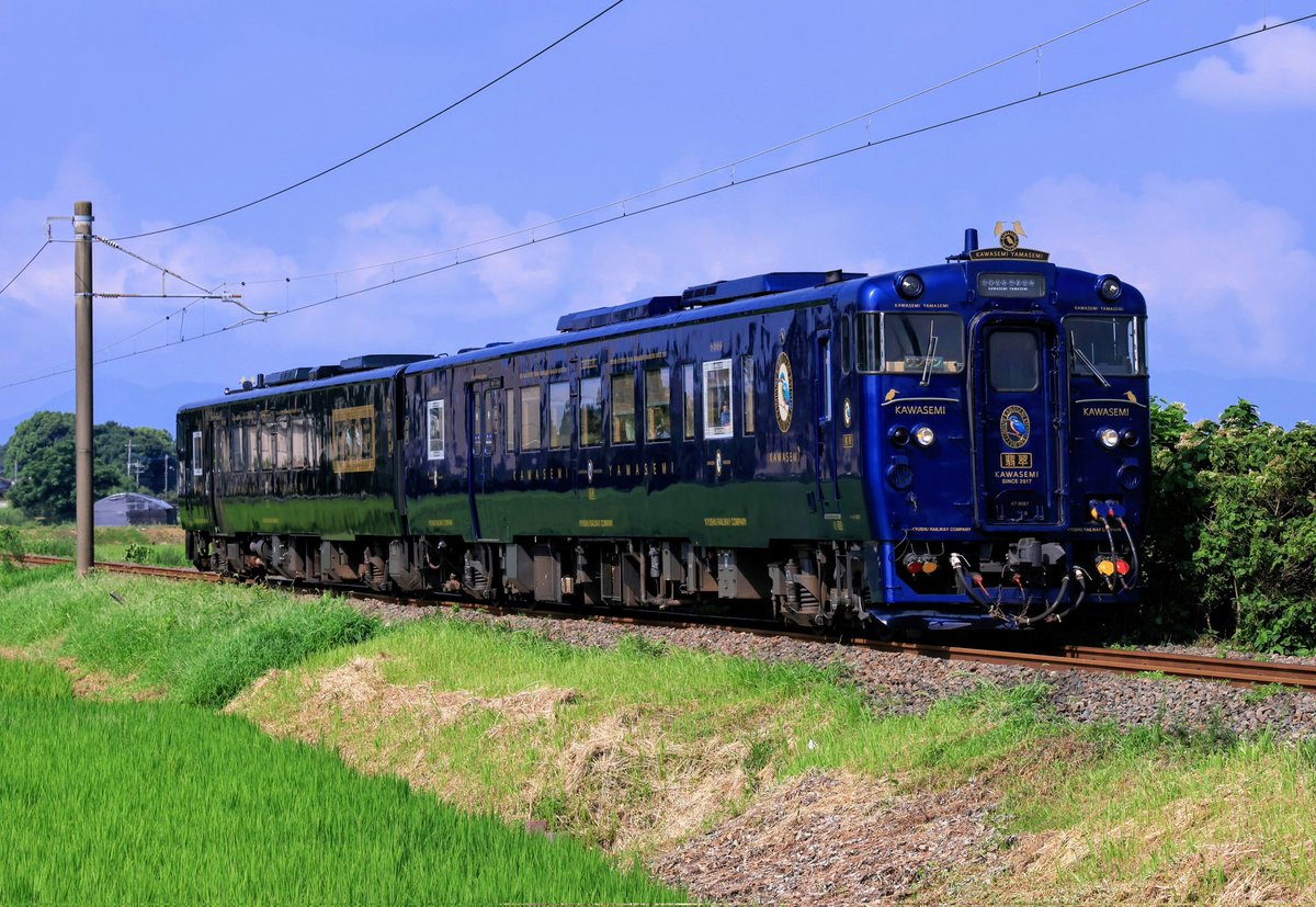 よるくま（感謝） よるくま（感謝） よるくま（感謝） よるくま - 偕成社 | 児童書