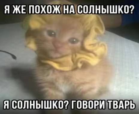 аконитовое зелье tweet media