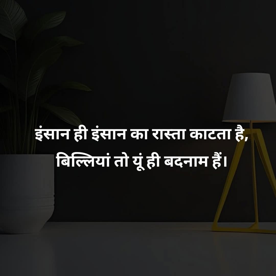 AMAN SHAN tweet media