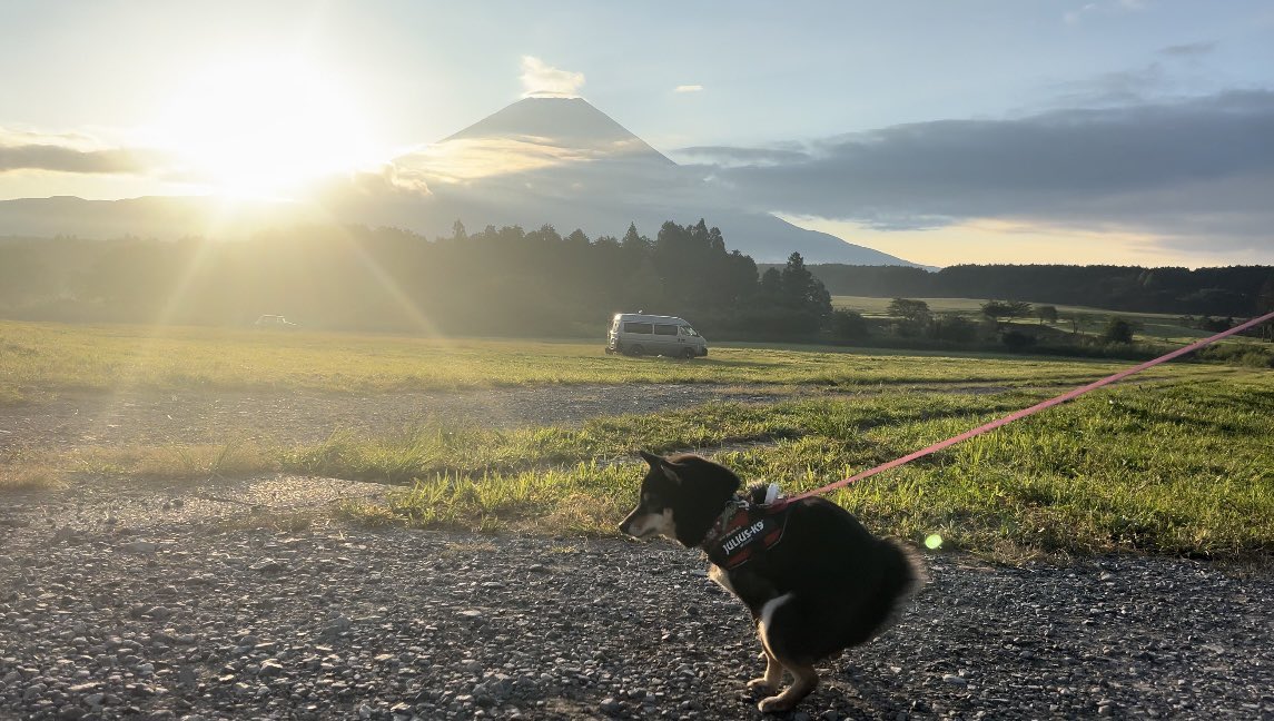 このおかげで御利益ありました。
カイウン祈願にどうぞ。
 #何回でもポストしたくなるお気入りの一枚を見せて