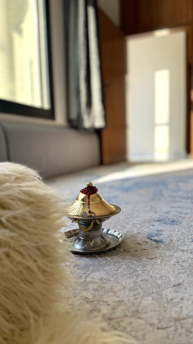 _4tami's tweet image. هات لي من بيض الايام حلمي يا زمن
لـ أجل ما الحقك المشاريه ولا أعاتبك